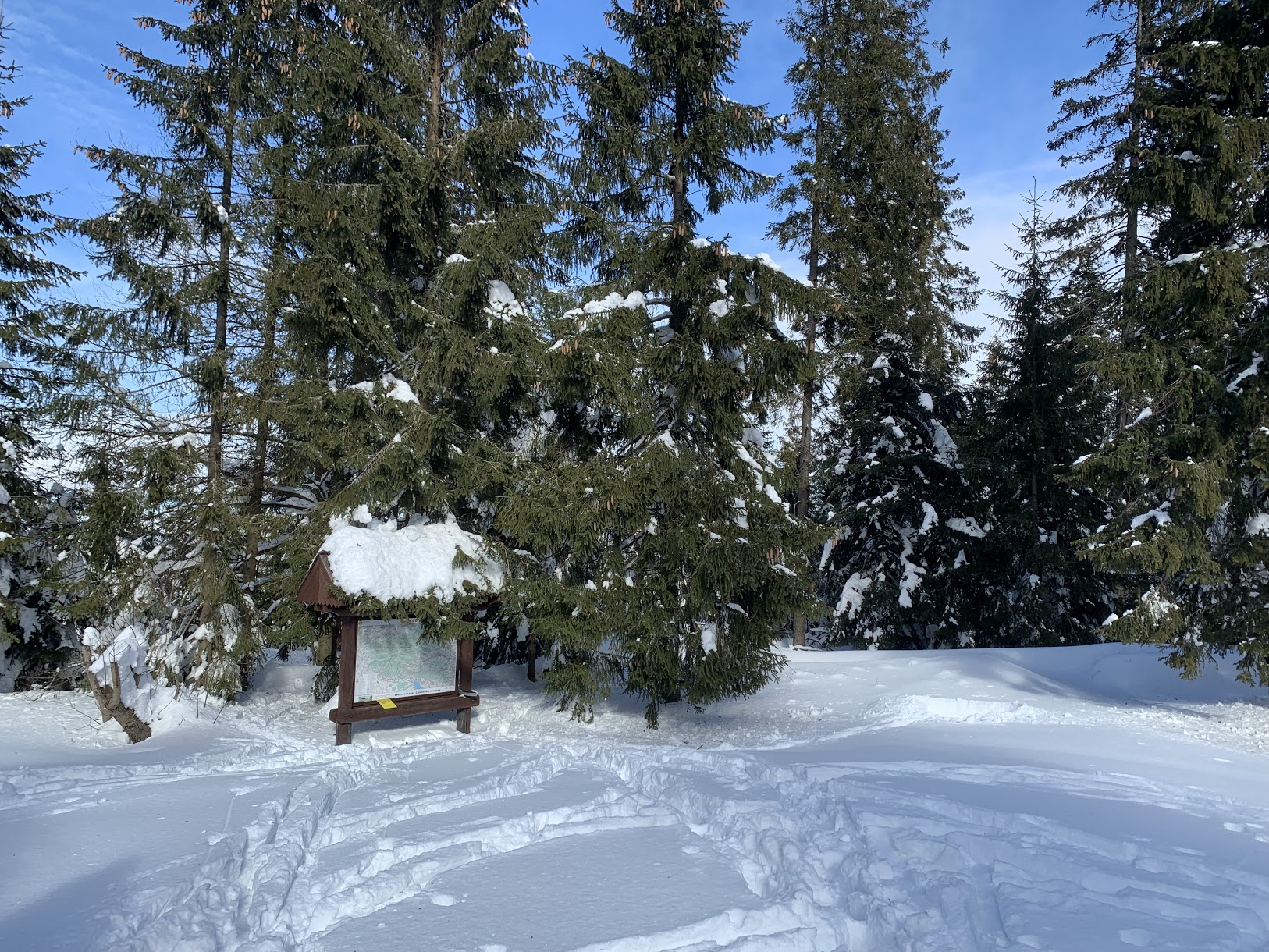 Przełęcz Borek