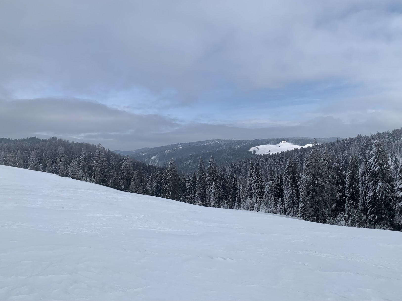 Widok na Halę Długą z Hali Turbacz.