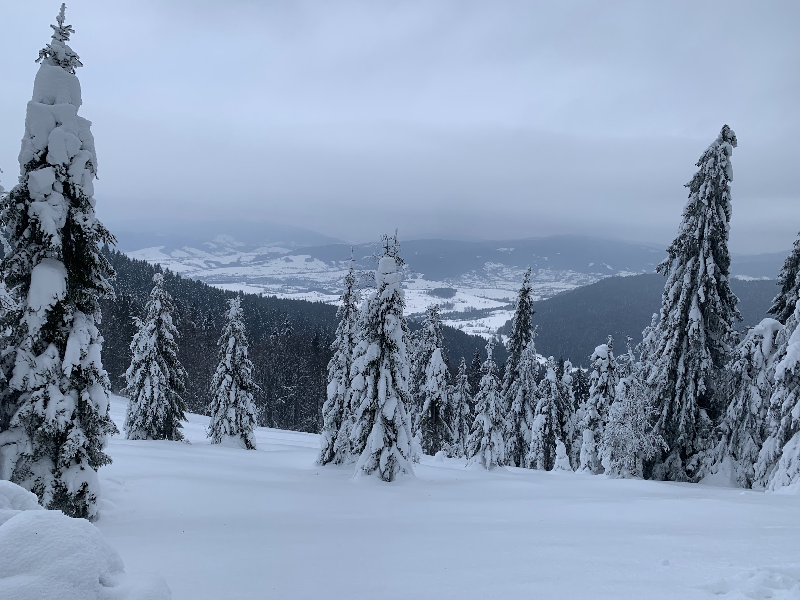 Widok spod Turbaczyka