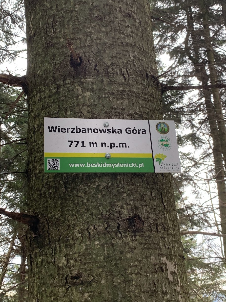 Wierzbanowska Góra, 771m (wg mapy 778m) - Beskid Myślenicki (Makowski)