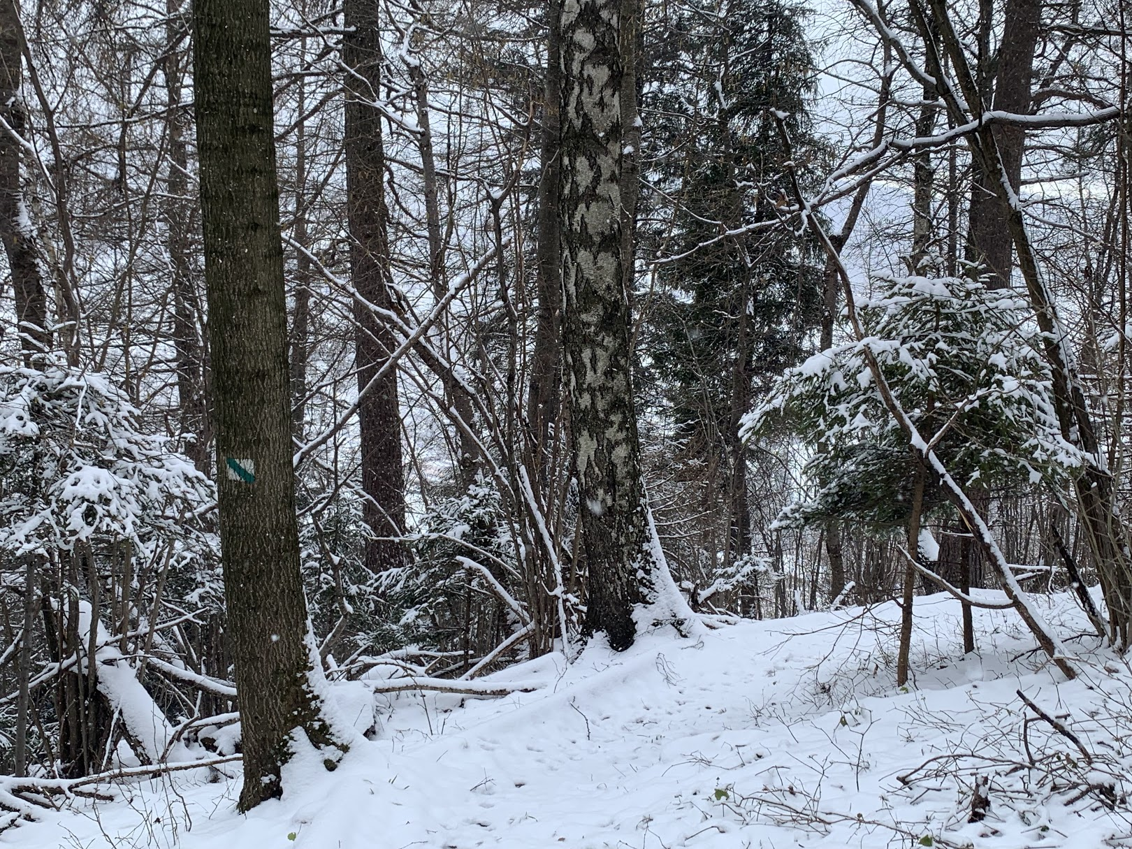 Zejście z Chabówki do siedziby GPN