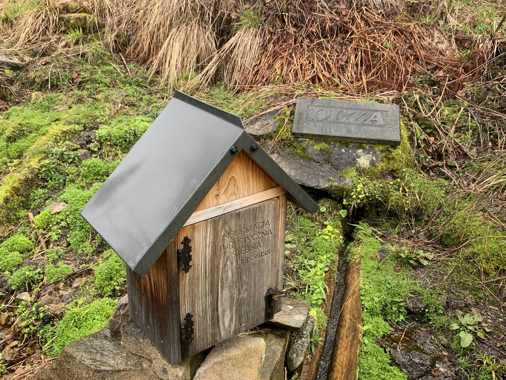 Source of the Olza river (Istebna, PL)