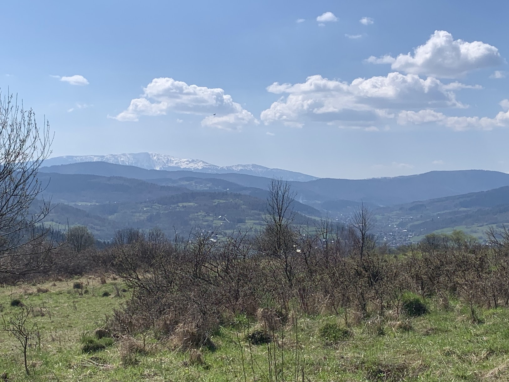 Widok na Babią Górę (ośnieżona) z Lipskiej Góry.