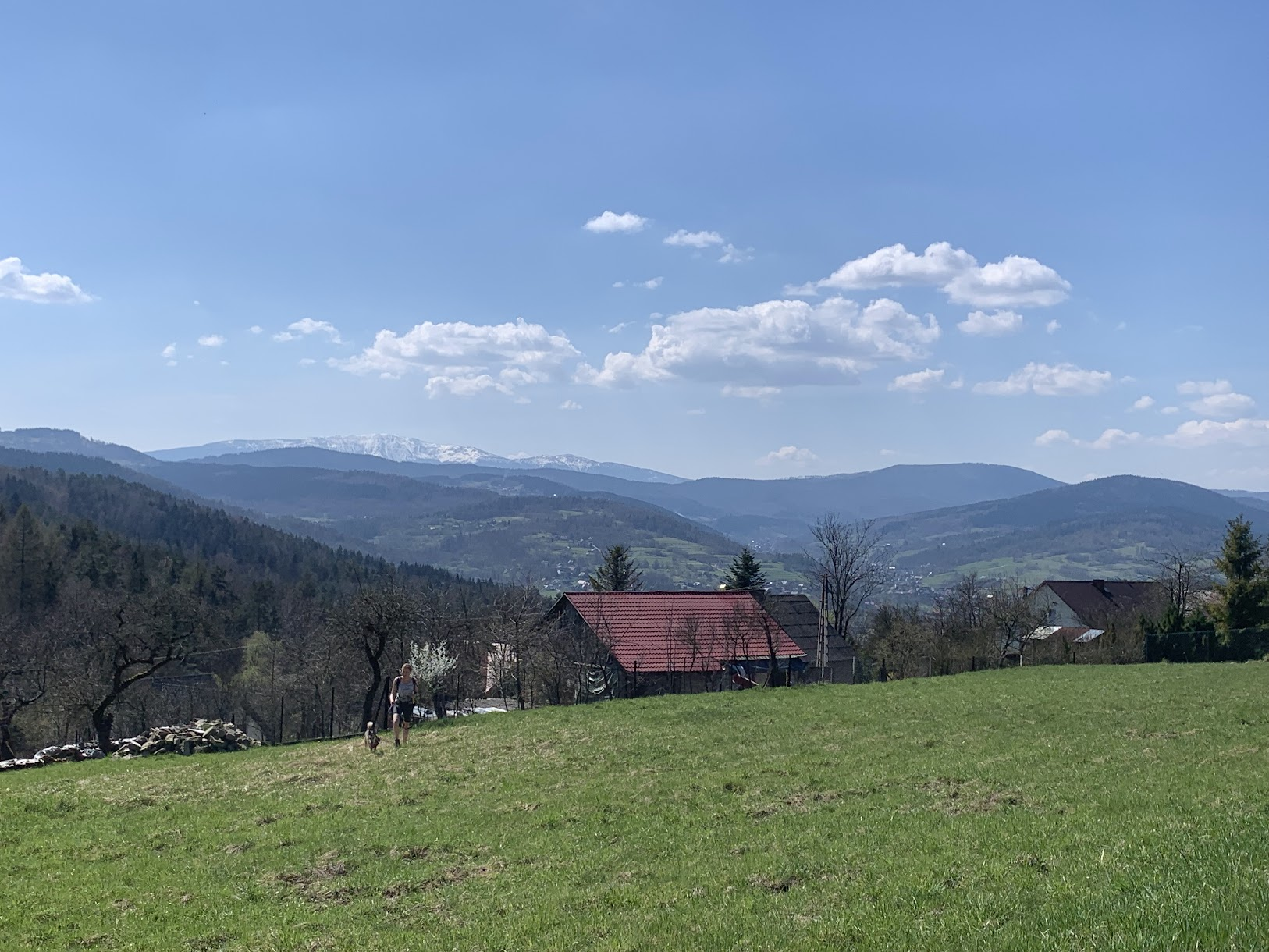 Widok na Babią Górę (ośnieżona) z Lipskiej Góry.