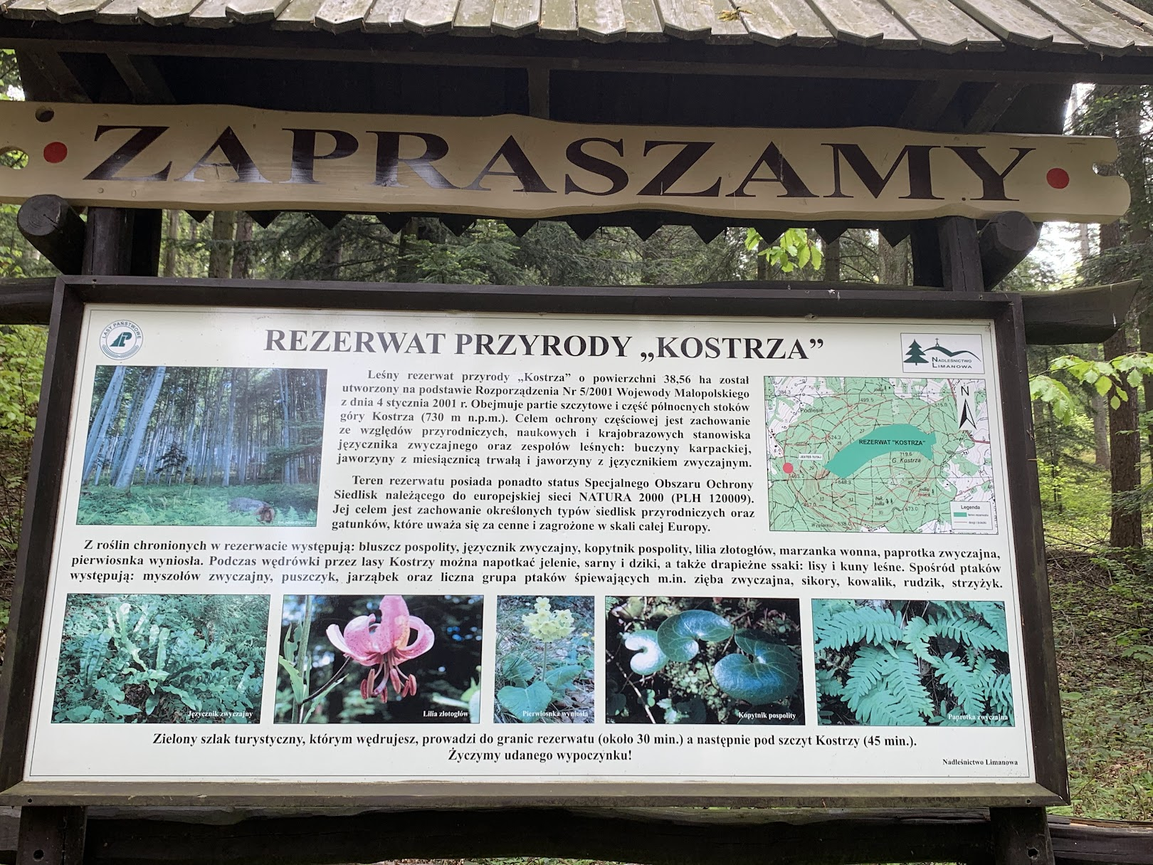 Rezerwat przyrody ”Kostrza”