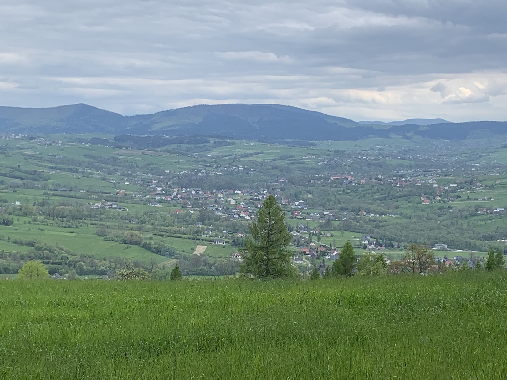 Ostra (skrajna po lewej) i Cichoń, widok z Paproci