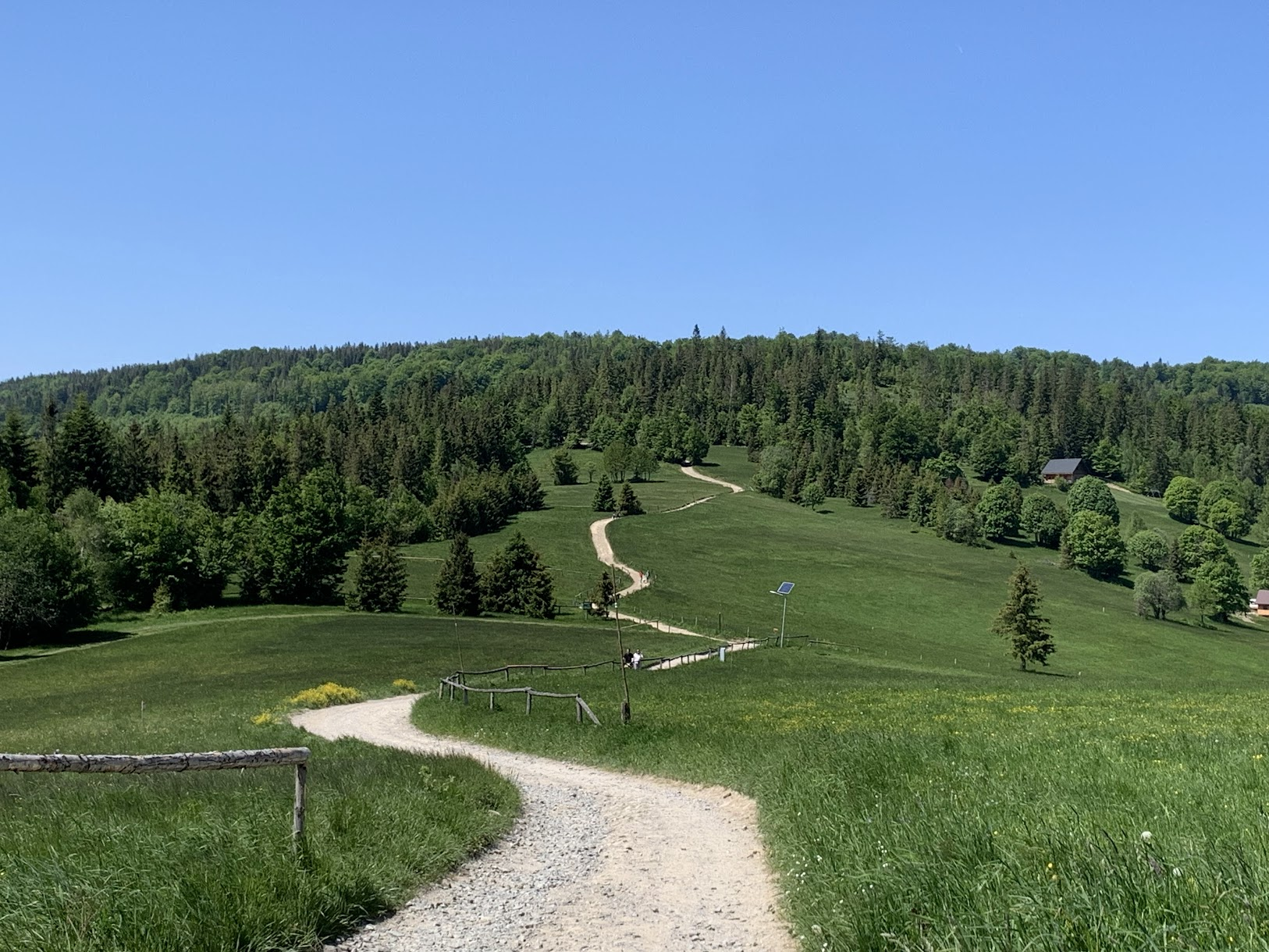 Droga z Hali Boraczej na Prusów