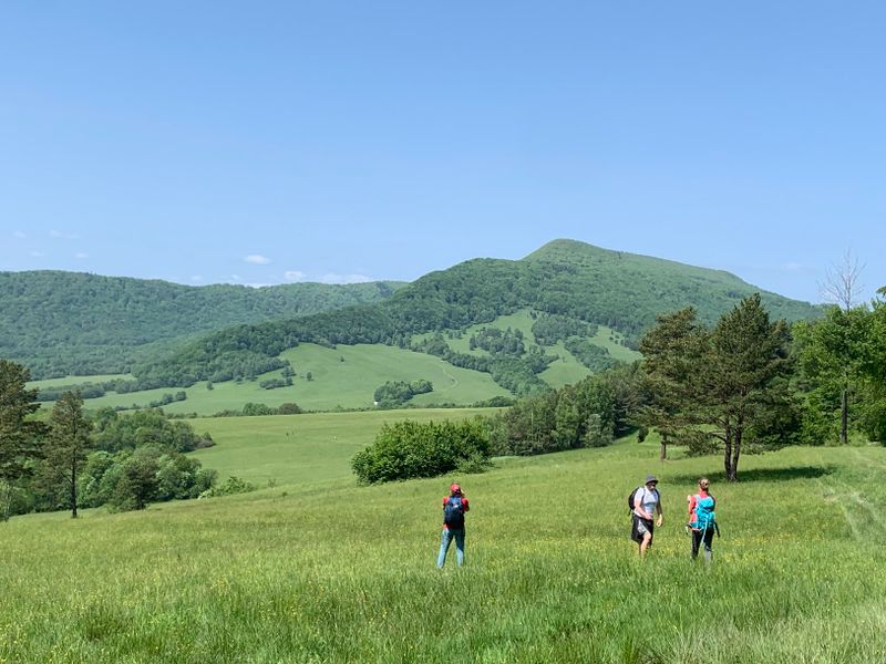 Pani Lackowa i Pan Busov. Dwa najwyższe szczyty Beskidu Niskiego i... poezja Wincentego Pola.