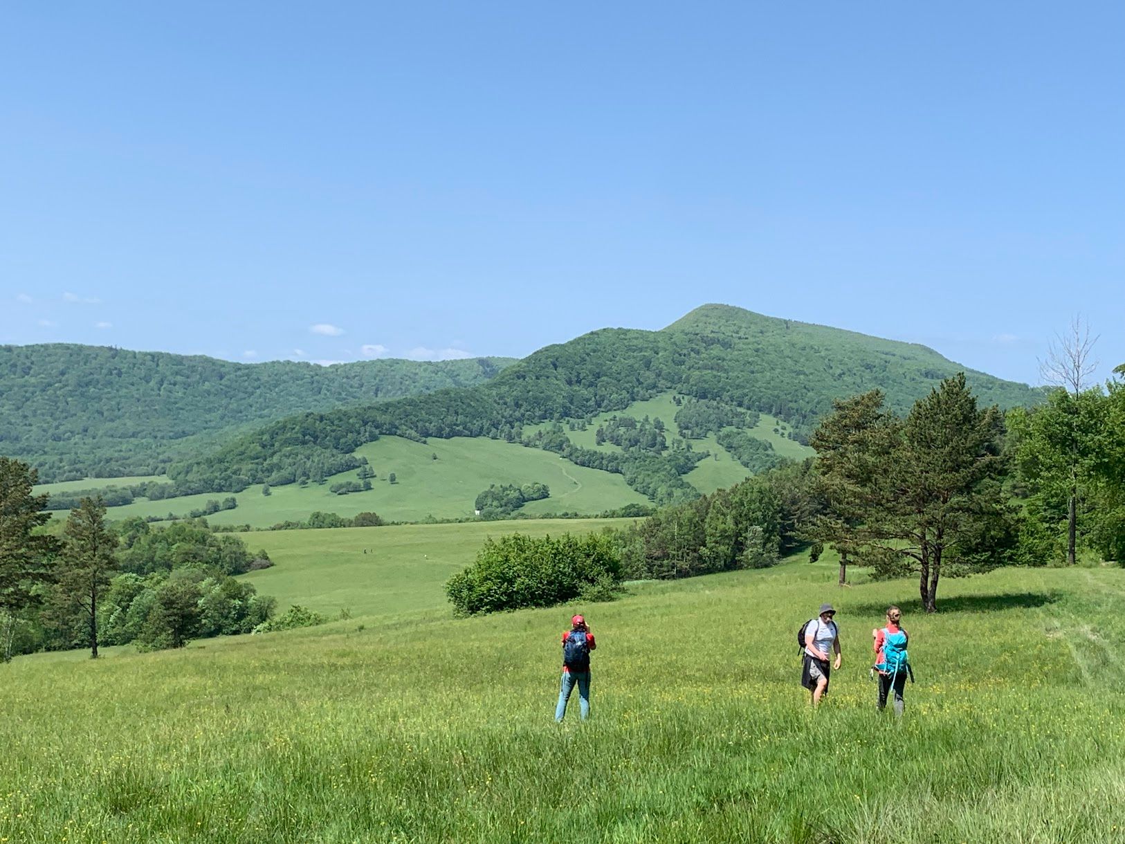 Pani Lackowa i Pan Busov. Dwa najwyższe szczyty Beskidu Niskiego i... poezja Wincentego Pola.