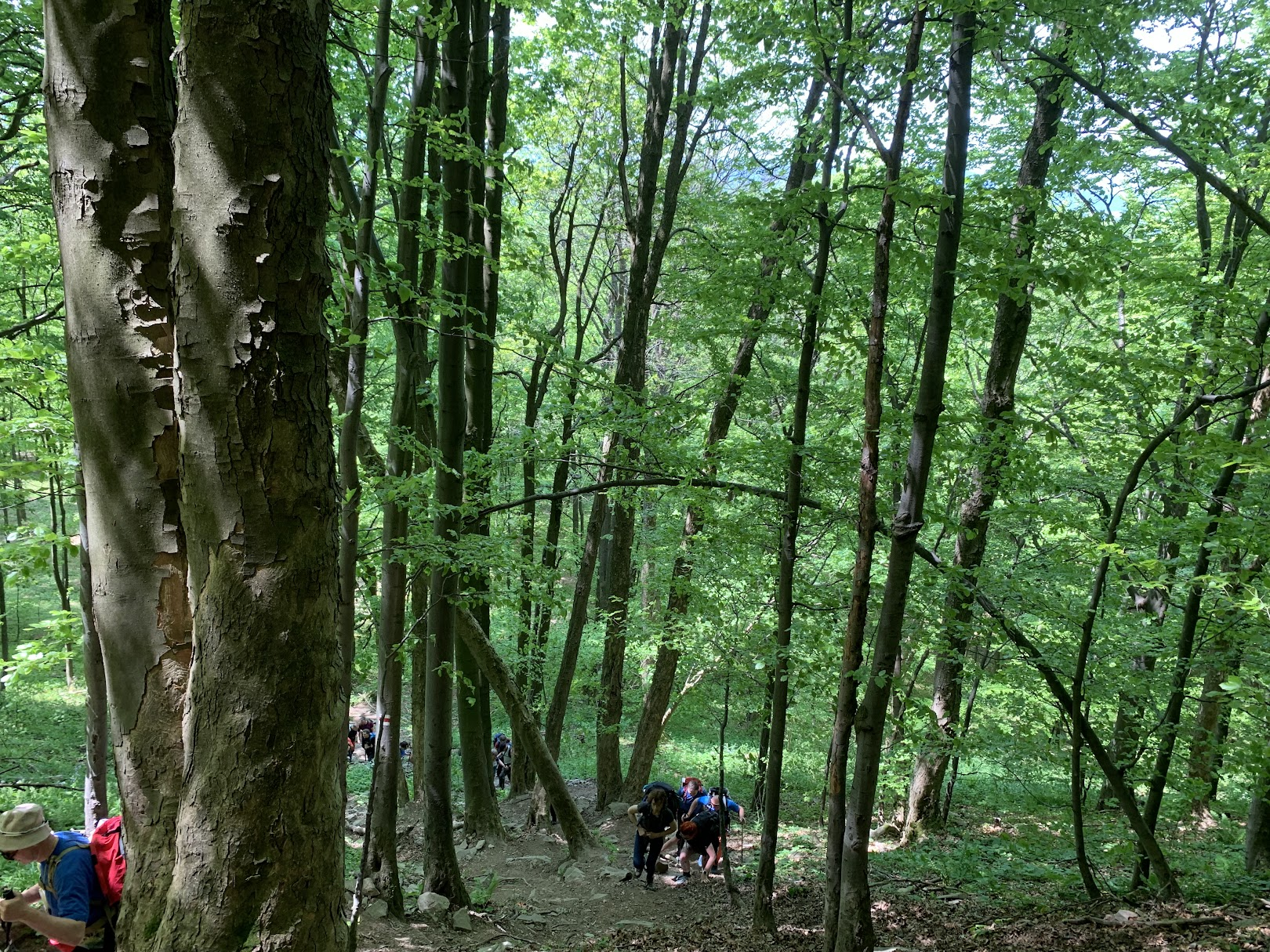 ”ściana płaczu” na Lackową