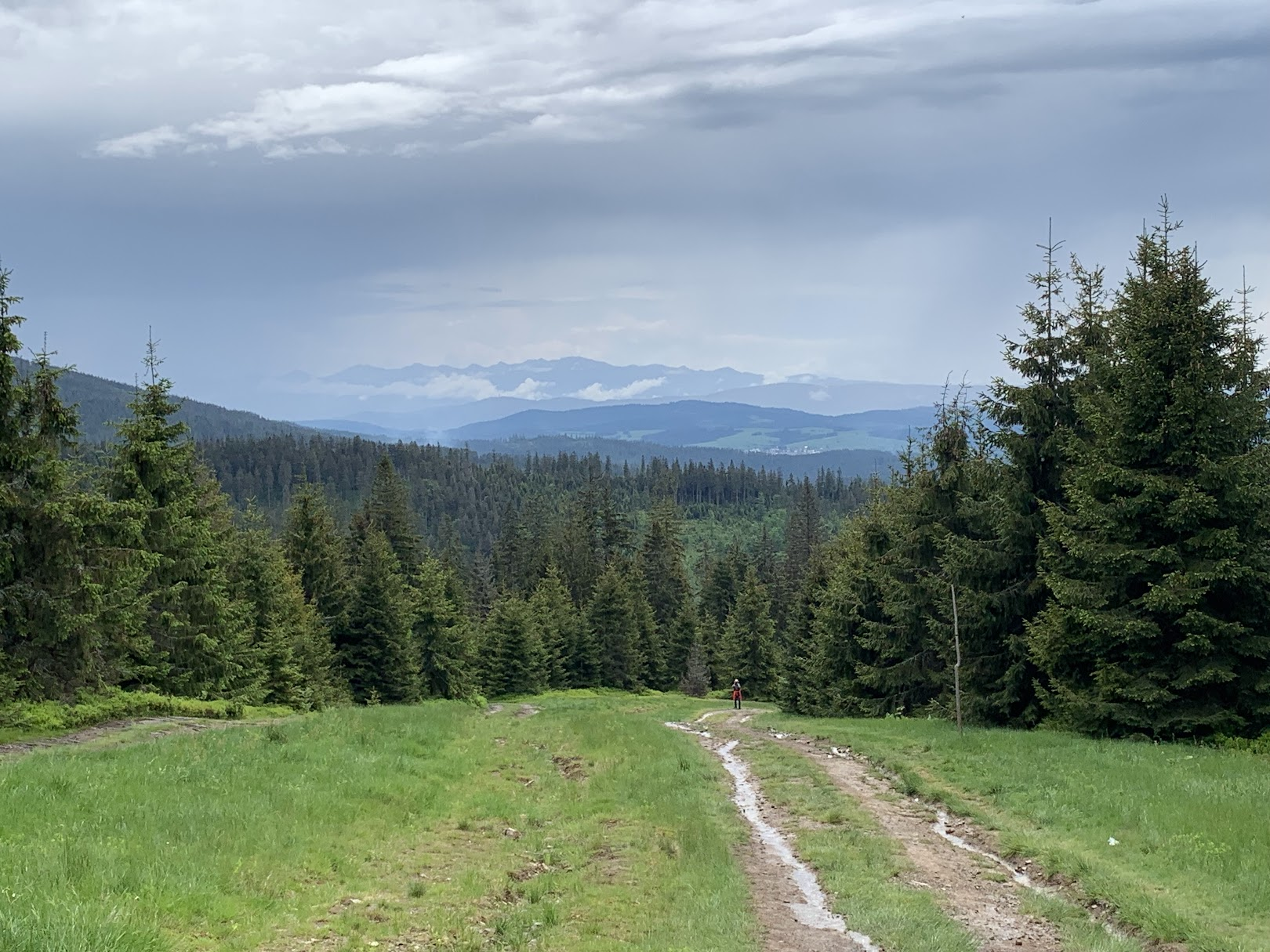 Widok ze szlaku czarnego pod schroniskiem na Rysiance