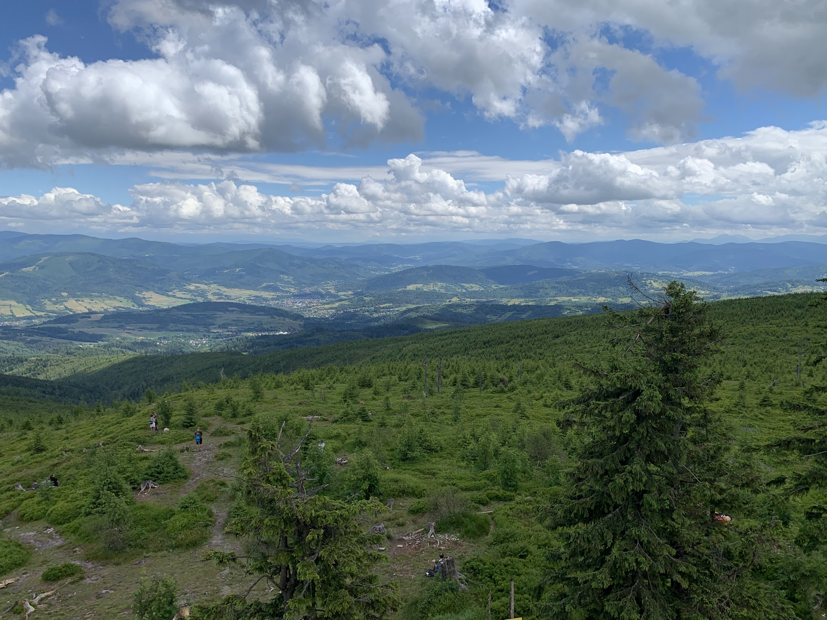 Widok z Baraniej Góry. Po lewej, na ostatnim planie grzbiet z Boraczym i Redykalnym Wierchem, przed nimi Prusów i Sucha Góra, w dole Milówka