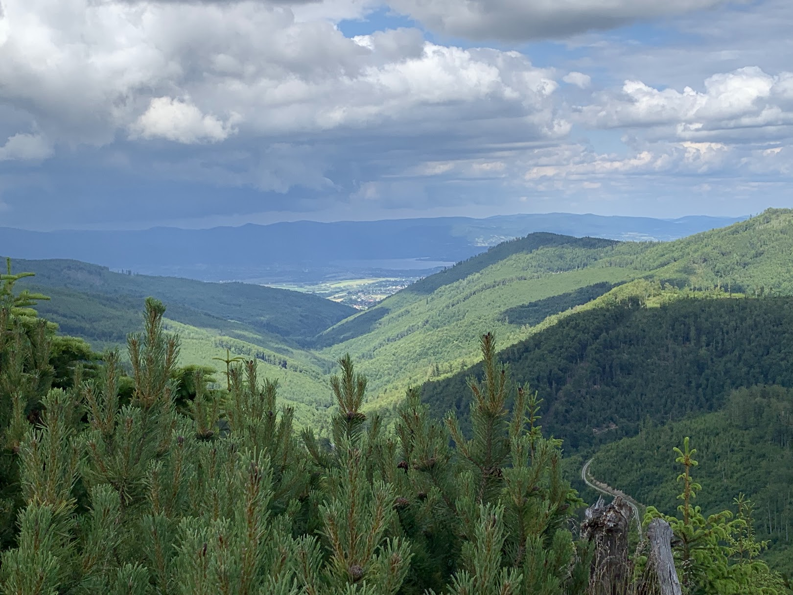 Pod Zielonym Kopcem, widok w dolinę Leśnianki, w dole jez. Żywieckie, za nim Beskid Mały