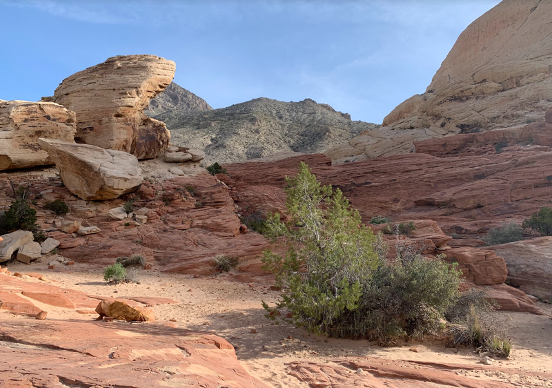 Red Rock Canyon National Conservation Area - the Other Side of Las Vegas / Druga strona Las Vegas
