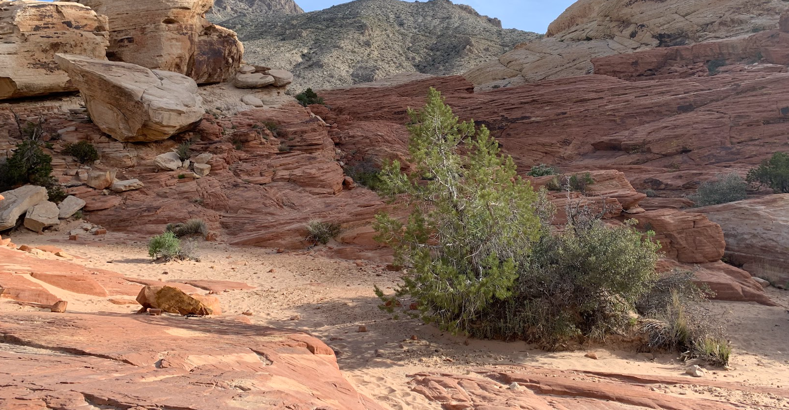 Red Rock Canyon National Conservation Area - the Other Side of Las Vegas / Druga strona Las Vegas