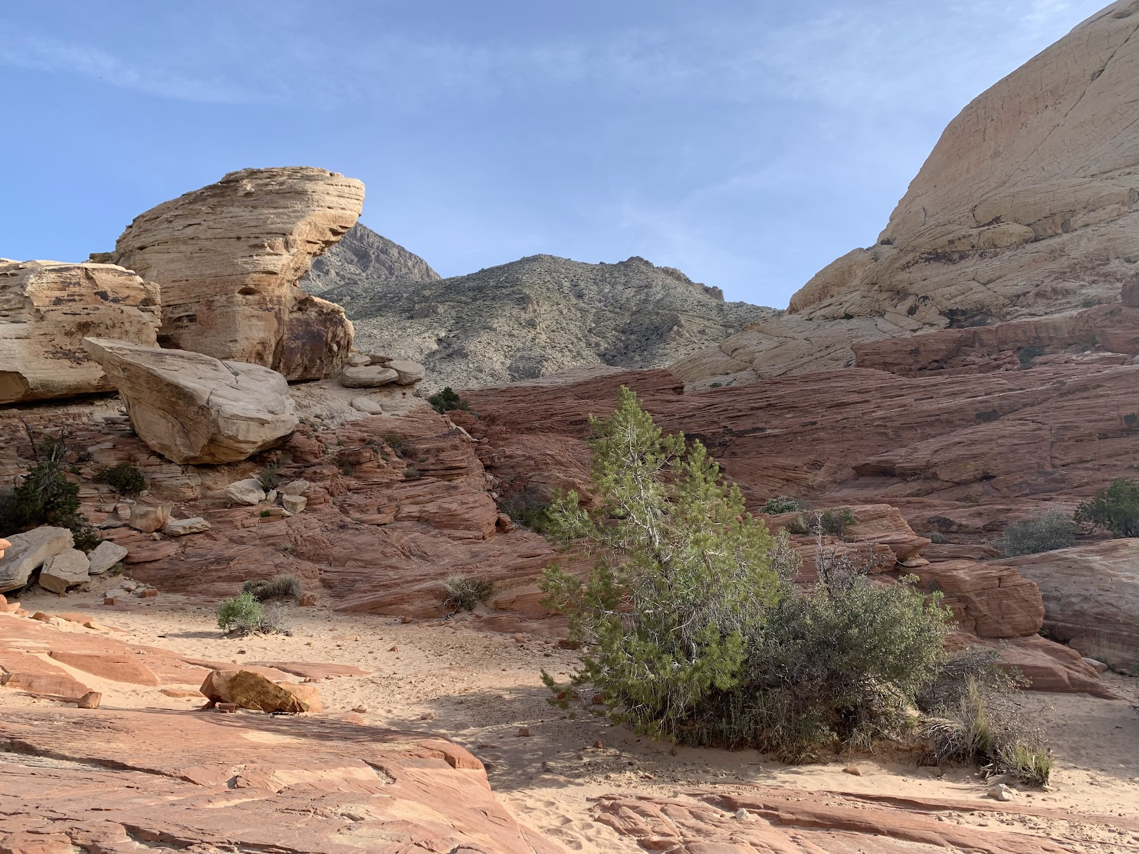In the Red Rock Canyon National Conservation Area