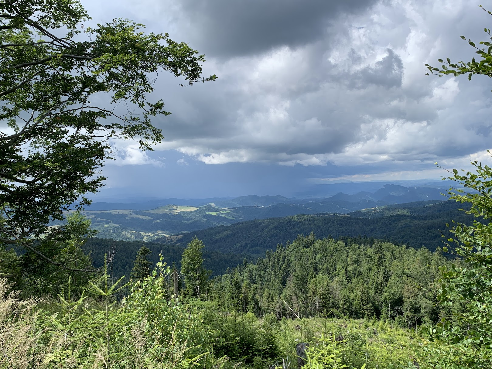 Dobrze nie być w Tatrach...