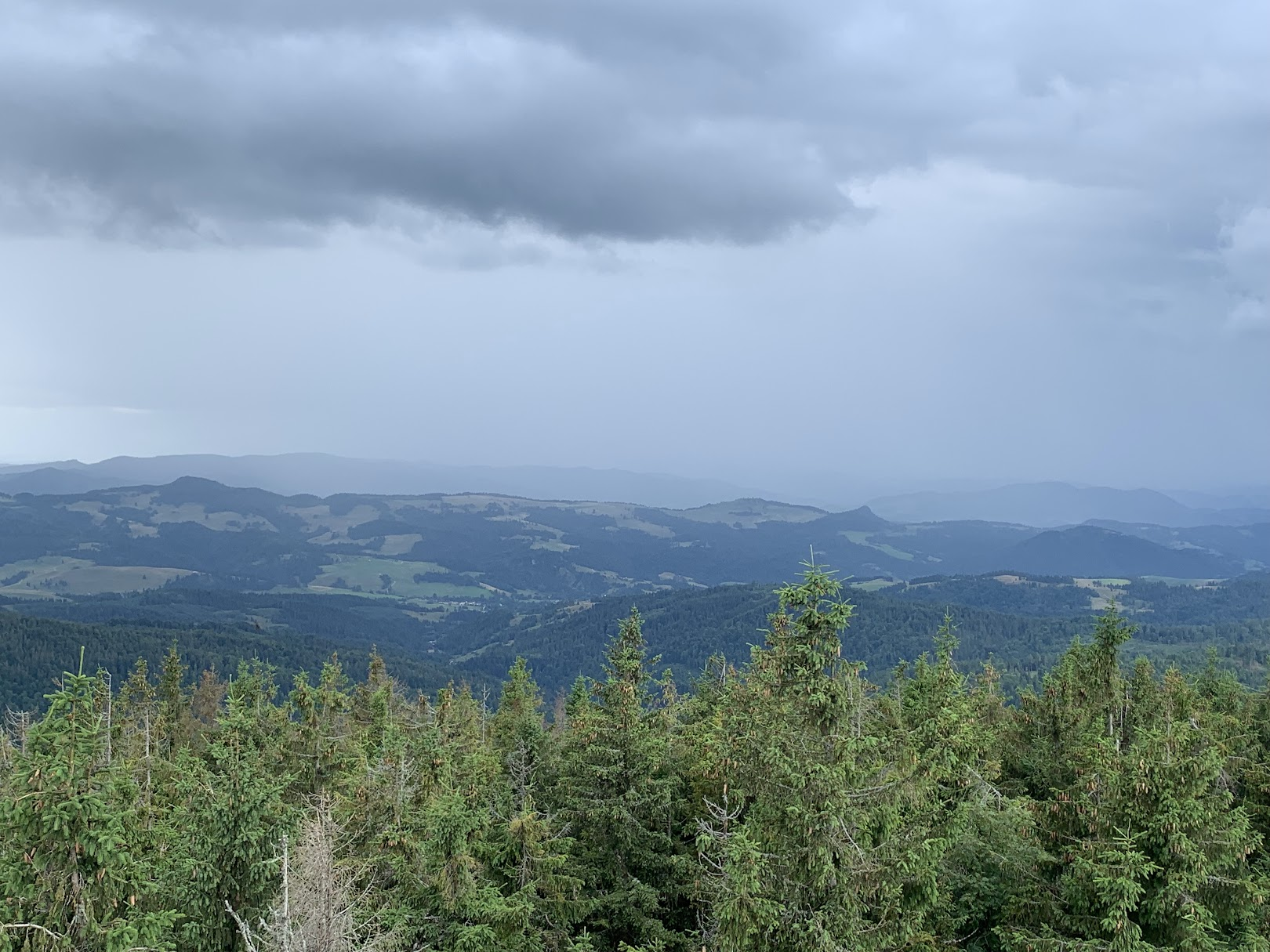 Widok z Radziejowej na południe. Na środkowym planie Pieniny Małe, na ich lewym skraju Wysoka.