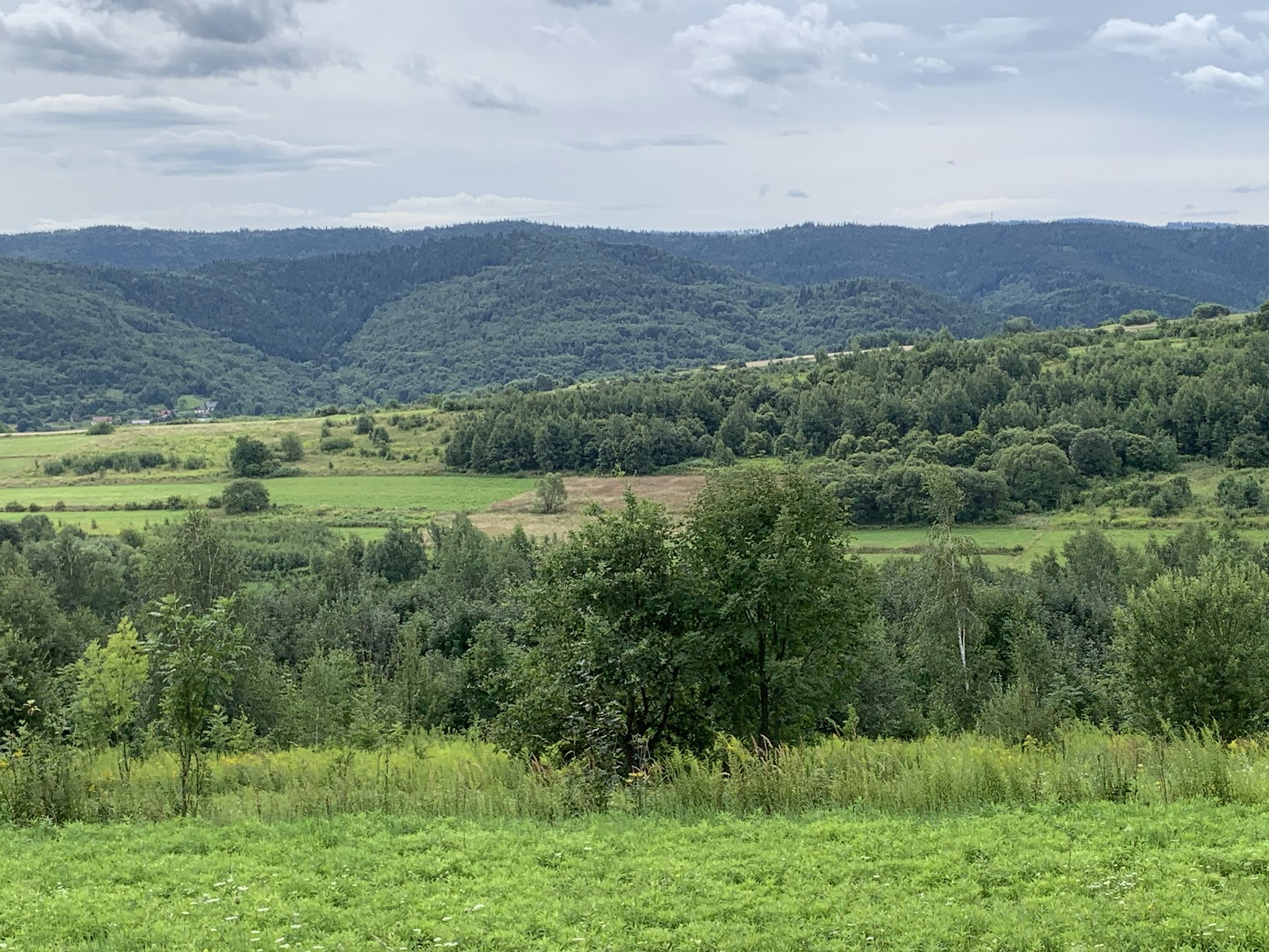 Widok na Beskid Makowski, pasmo Babicy, zza niego wystaje pasmo Koskowej Góry.