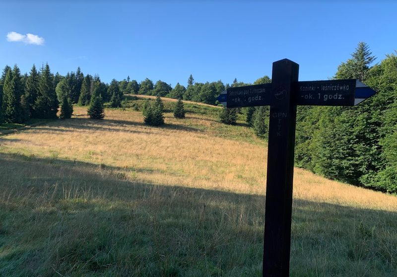 Niebieski szlak Brzeźnica - Kacwin. Dzień 4: Poranne Gorce tylko dla mnie oraz rowerowe Podhale.