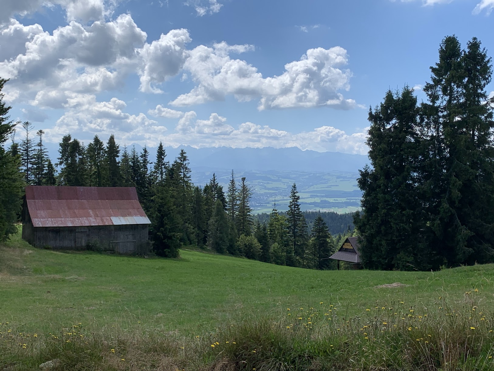 Zejście niebieskim szlakiem z Turbacza do Łopusznej, widok na Tatry i Podhale.