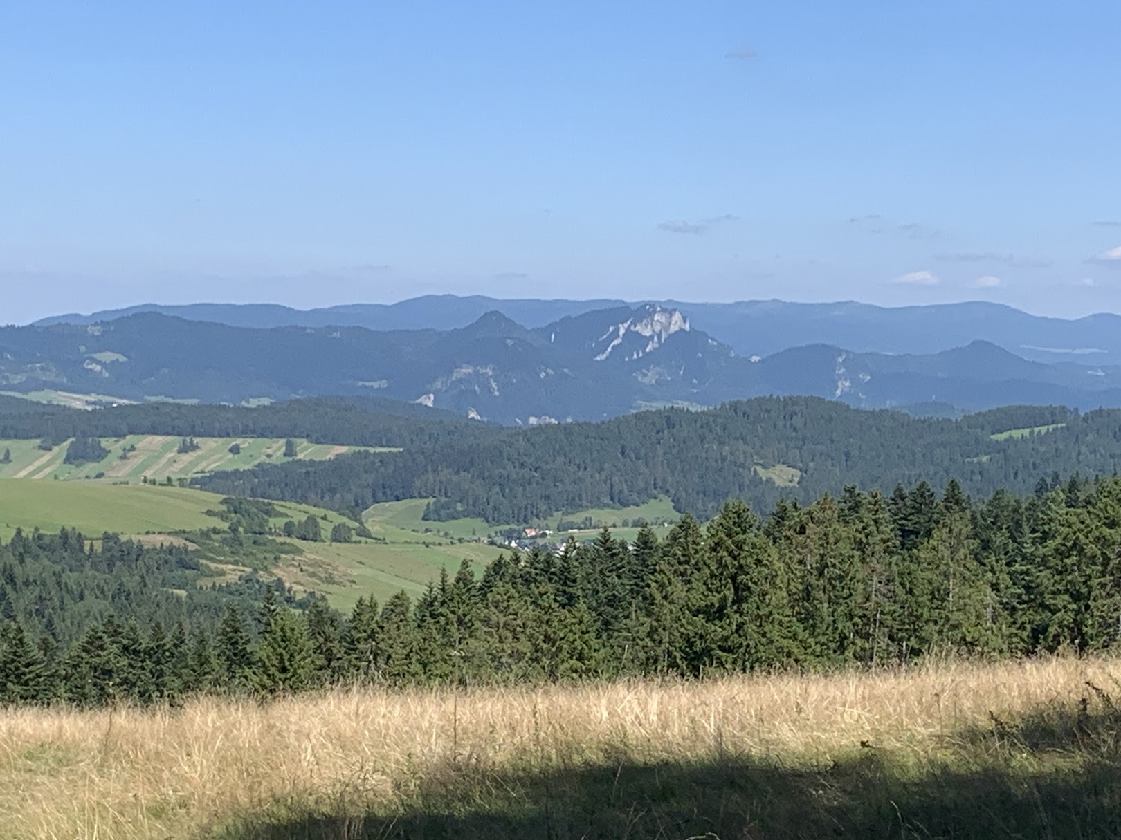 Widok na Pieniny (widać białe skały Trzech Koron). Za nimi - Beskid Sądecki z Radziejową (najwyższa po prawej, najdalszy plan)