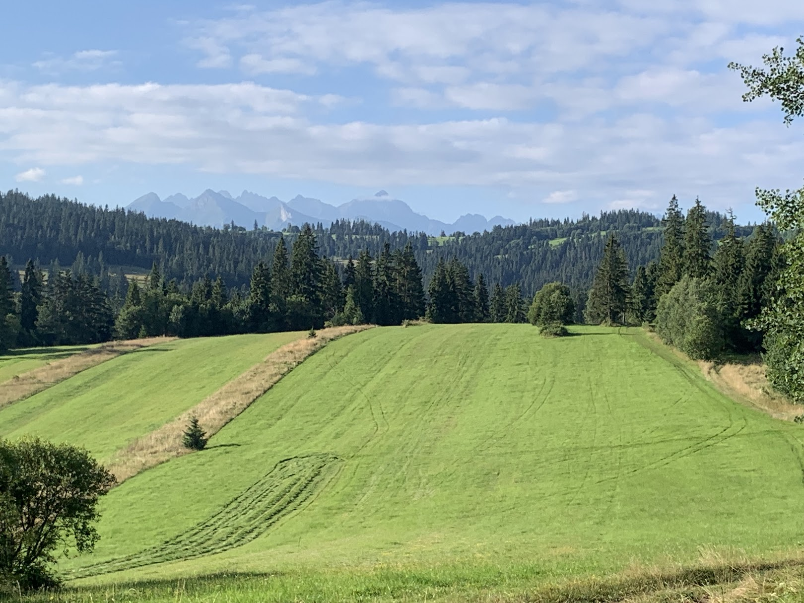 W dali Tatry Bielskie (po lewej) i Wysokie (najwyższy widoczny szczyt to Lodowy)