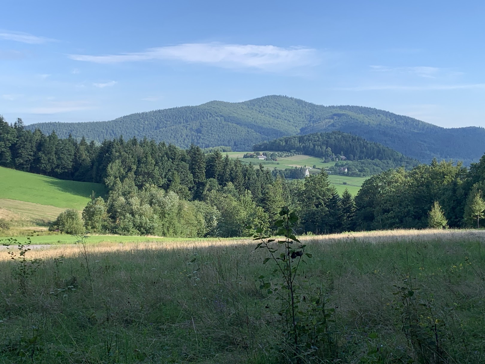 Przełęcz między Dzielcem a Szklarnią, w kierunku północnym patrzymy na Ciecień