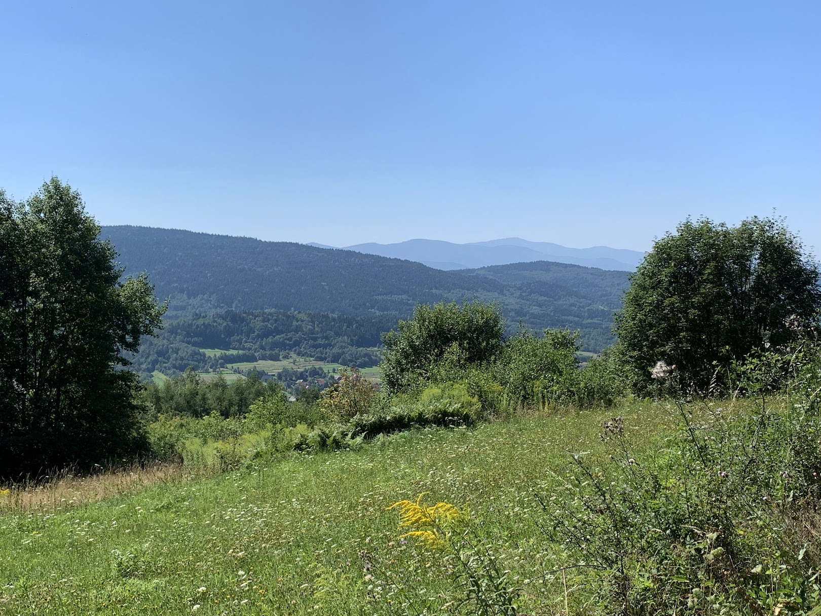 Widok z okolic Babicy Zachodniej. W dali Babia Góra, na lewo od niej - Polica.