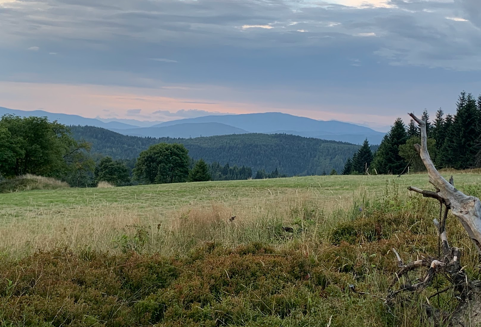 Mały Szlak Beskidzki - dzień 5: Dzień Kiczory(-ery), Żar i burza na Hrobaczej czyli Koniec i Kropka.