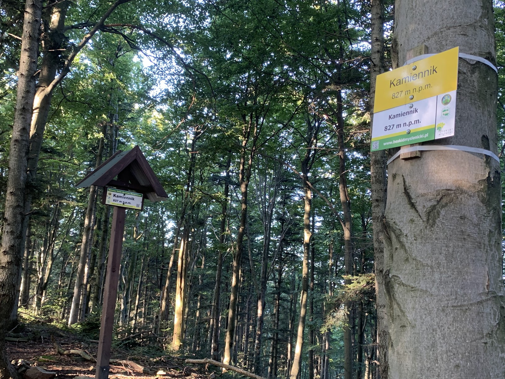 Kamiennik w Beskidzie Wyspowym? Myślenickim? Makowskim!