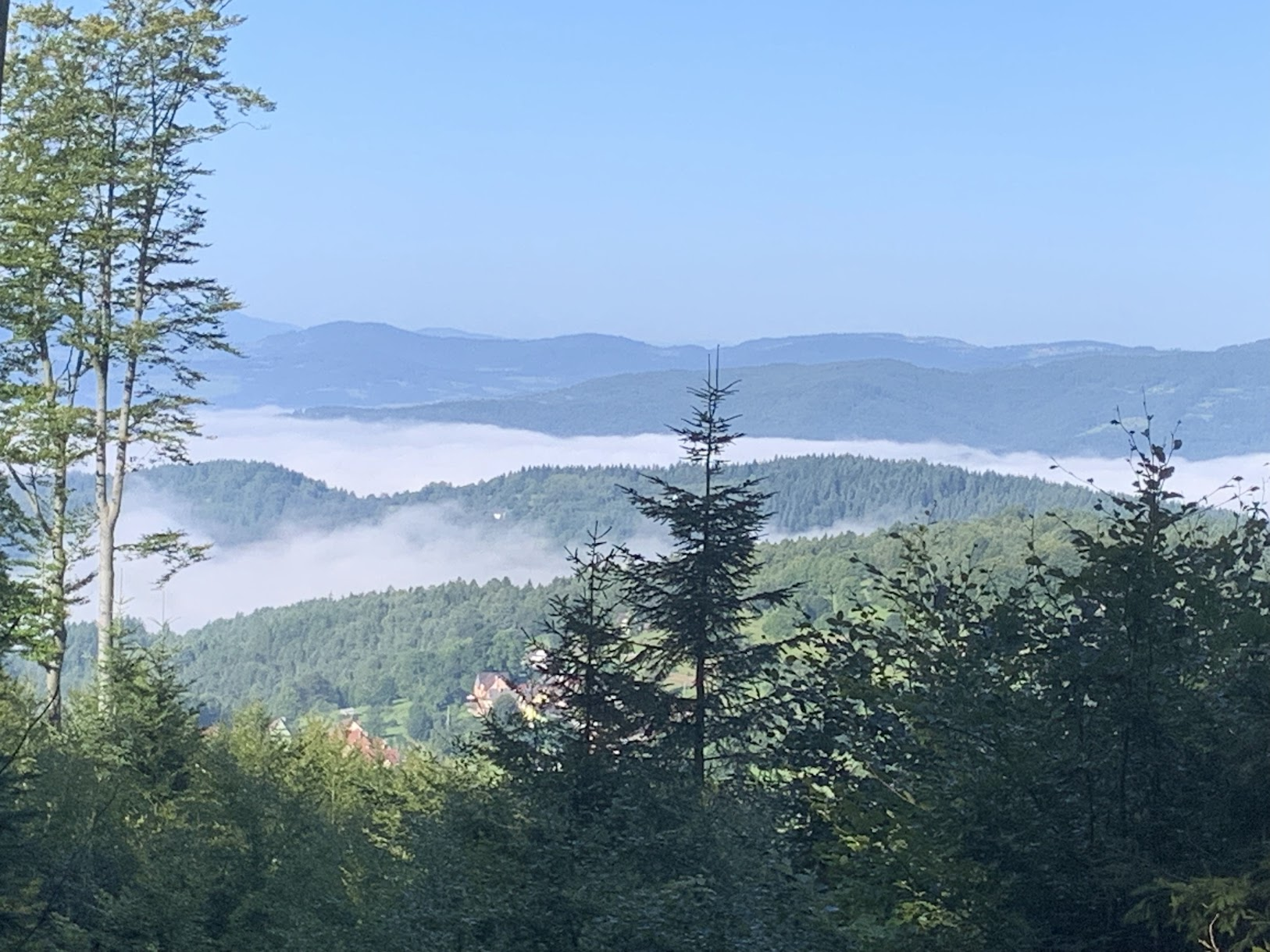 Widok na zasnutą mgłą dolinę Raby. Za nią ramię Kotonia, a za nim Koskowa Góra i jej ramię odchodzące na południe (Groń - Stołowa Góra).