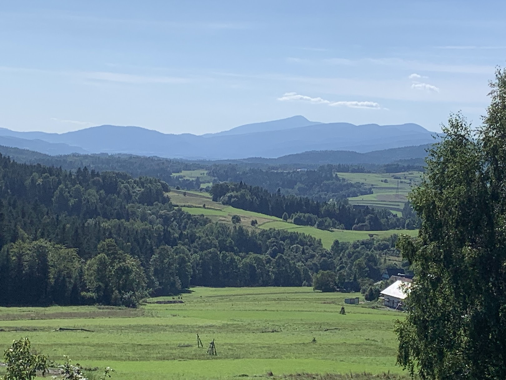 Widok z Kiecki w kierunku zachodnim. Na najdalszym planie dominuje Babia Góra.