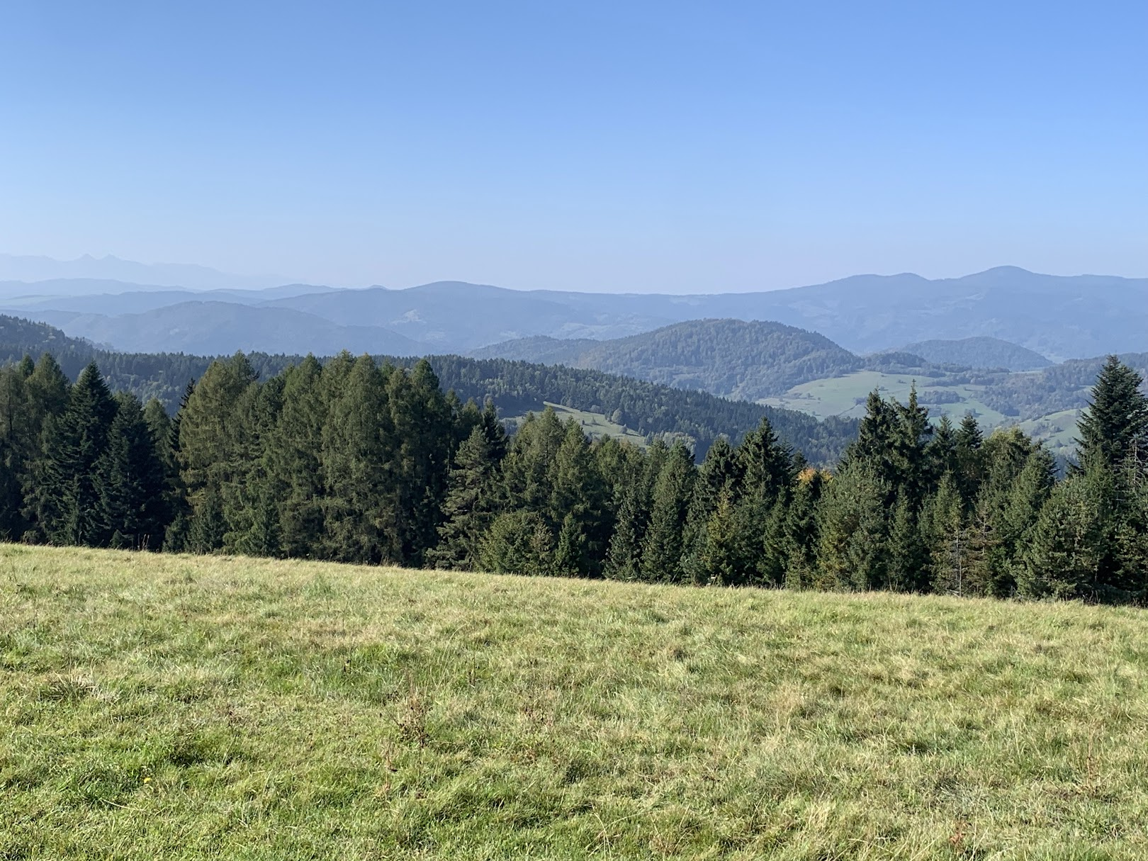 Widok spod Bacówki nad Wierchomlą. Po prawej w dali - Radziejowa, po lewej widać blado zarysowane Tatry. Po środku, na planie z Radziejową - Eliaszówka.