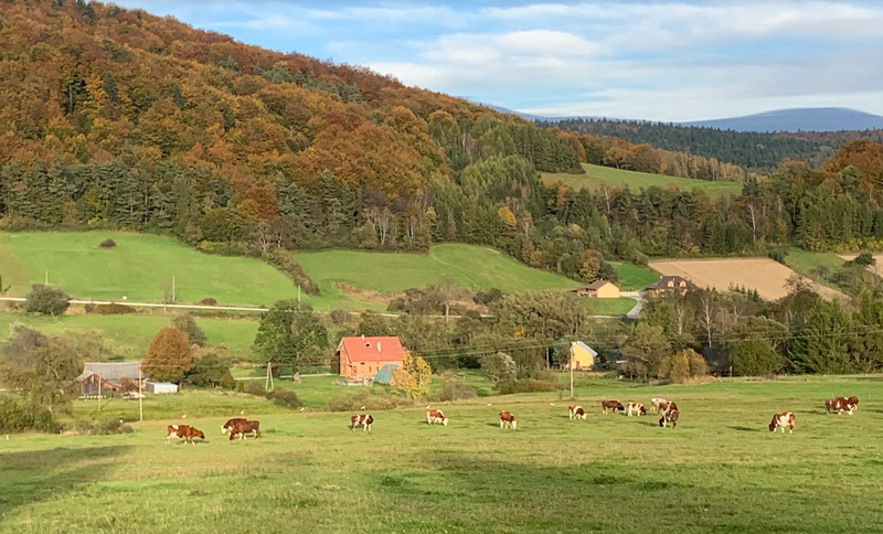 Taki jest Beskid Niski. Cerkiew, cmentarz wojenny, las, wyrypa, błoto i nieistniejąca wioska.