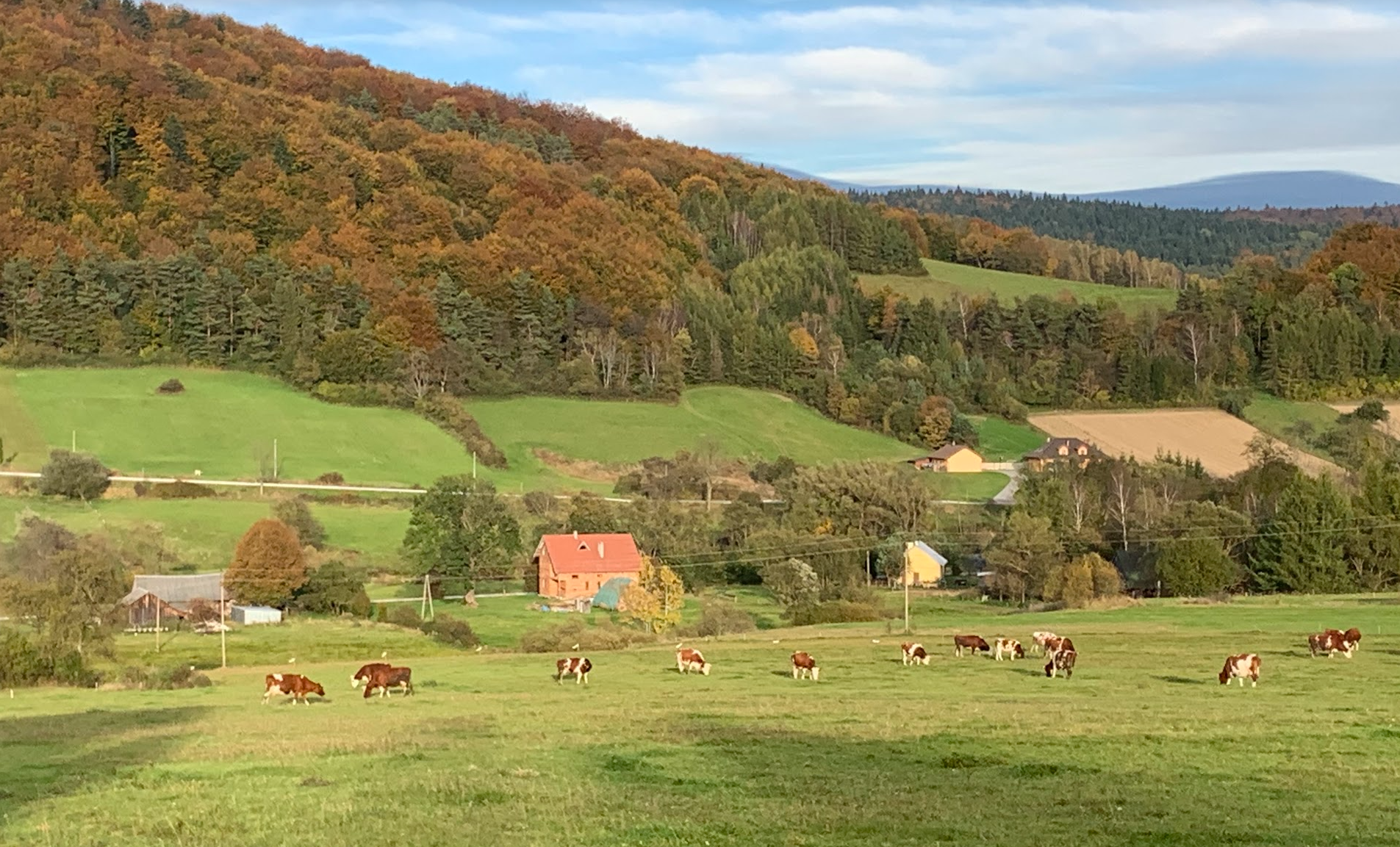 Taki jest Beskid Niski. Cerkiew, cmentarz wojenny, las, wyrypa, błoto i nieistniejąca wioska.