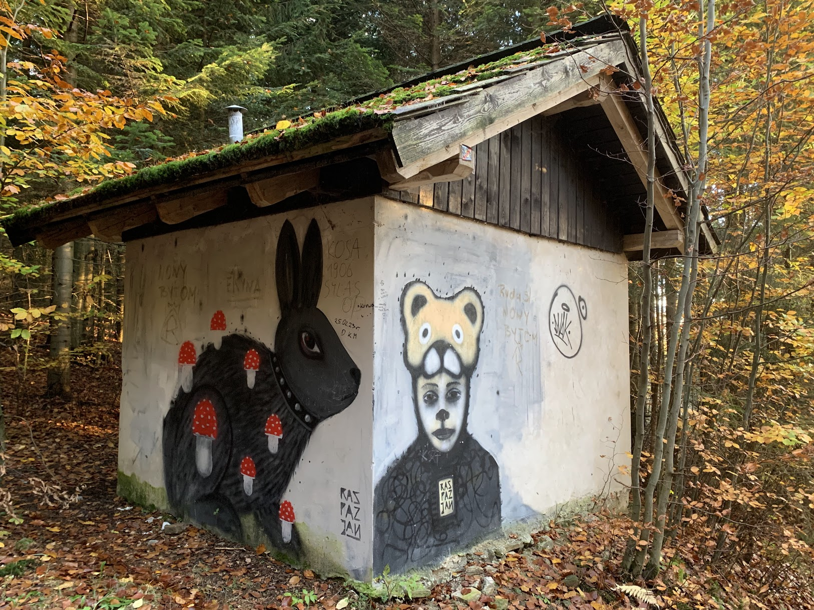 Mural Jana Raspazjana, żółty szlak Trzy Kopce Wiślańskie - Wisła Centrum