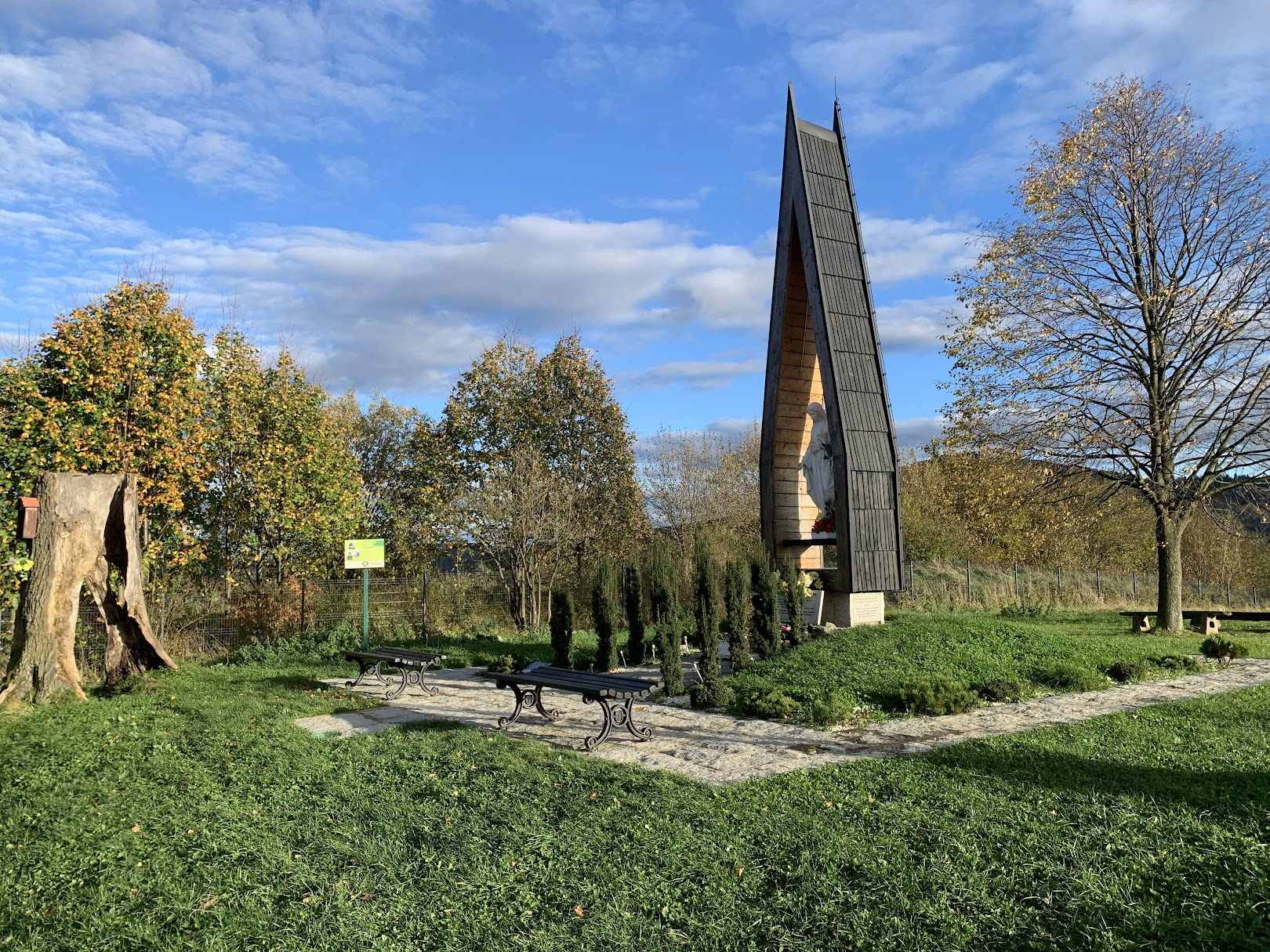 Myślenicka lipka (kikut po lewej, nowa lipa po prawej)