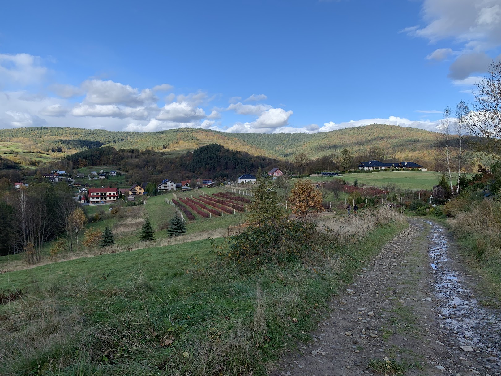 Zejście do doliny Trzebuńki - widok na Sularzową