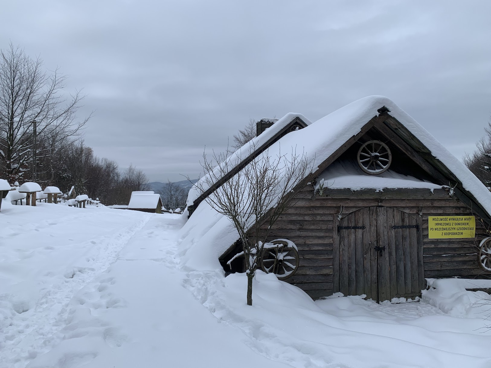 Teren schroniska na Kudłaczach