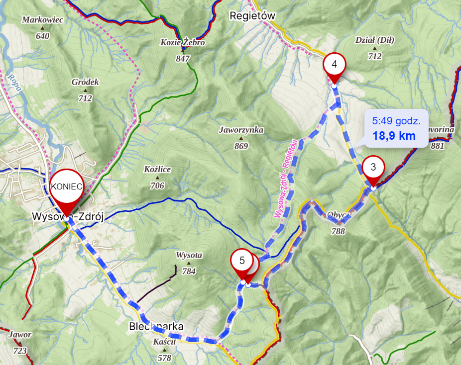 Modyfikacja zaplanowanej trasy - powrót do Wysowej drogą leśną przez Blechnarkę