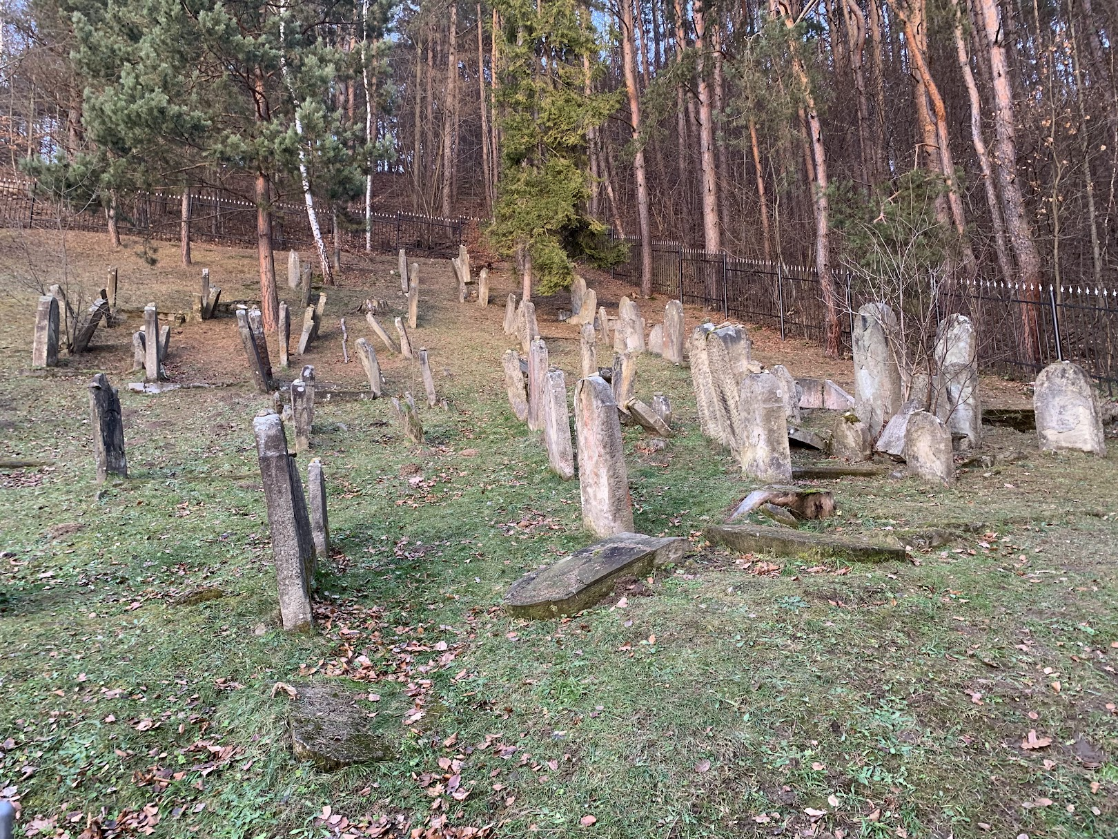 Cmentarz Żydowski w Muszynie