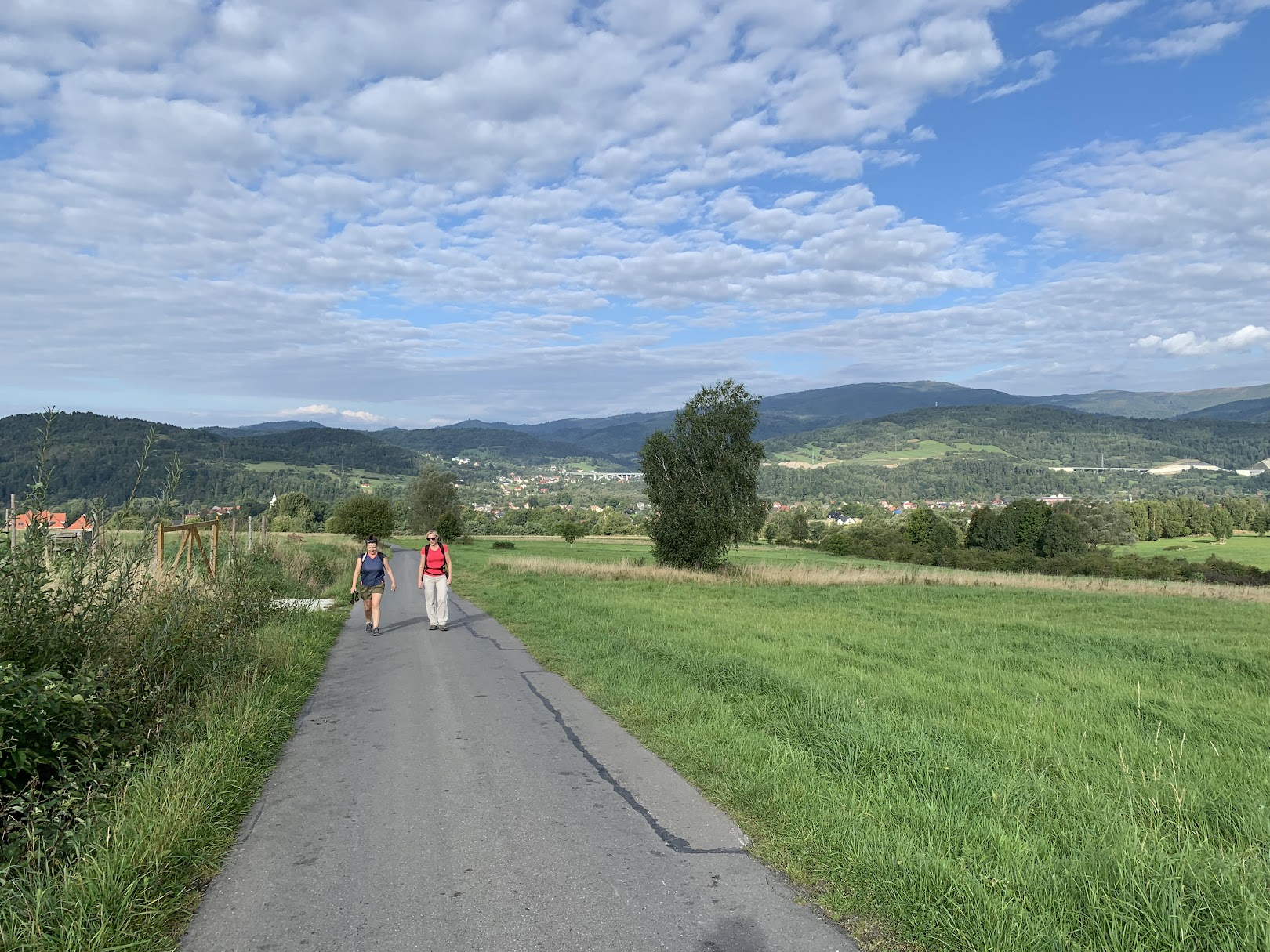 Widok na Milówkę (w centrum, widoczny wiadukt trasy S1). Na ostatnim planie Barania Góra