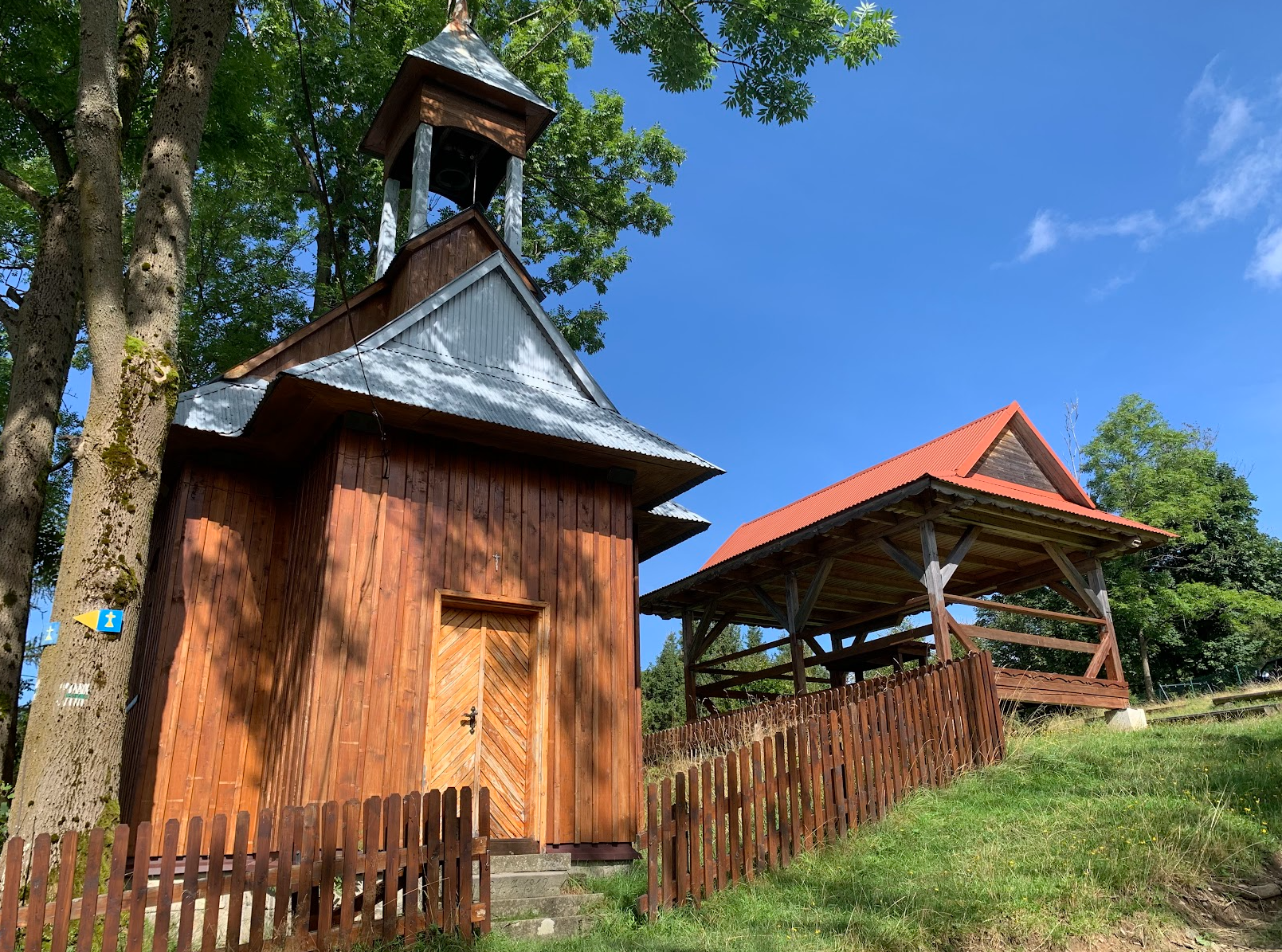 Nieoczywista trasa na Halę Boraczą z Milówki. Wycieczka pociągiem w Beskid Żywiecki na jagodzianki.