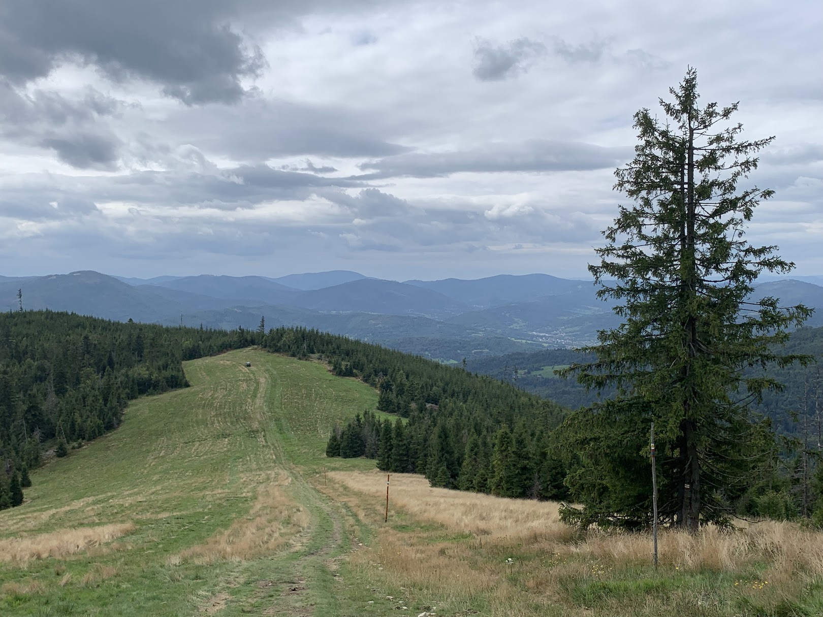 Widok z Hali Redykalnej na południowy-zachód. (Patrz opis panoramy powyżej zdjęcia)