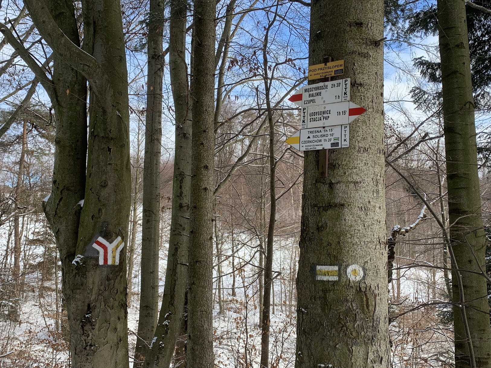 Rozwidlenie czerwonego szlaku na Czupel i żółtego do Czernichowa