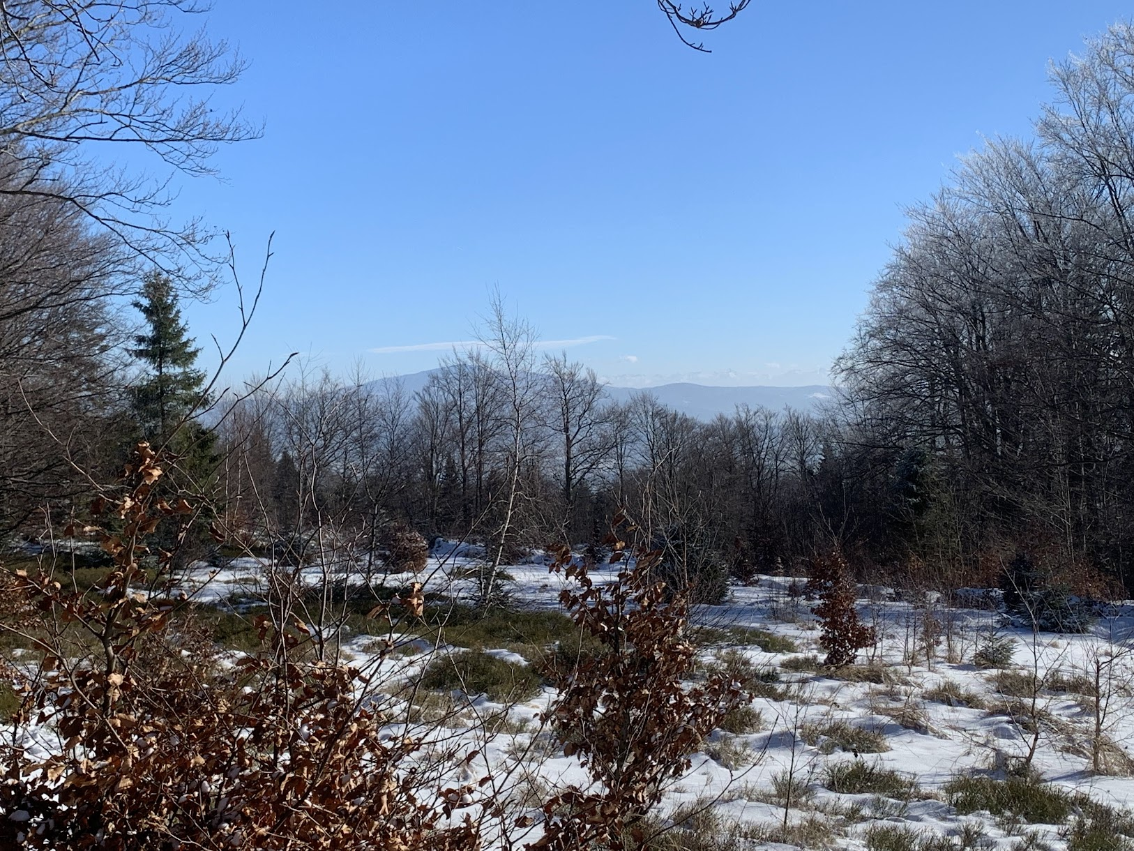 W dali, w centrum zdjęcia za drzewami - Babia Góra. Na horyzoncie, na prawo od Babiej - Tatry.