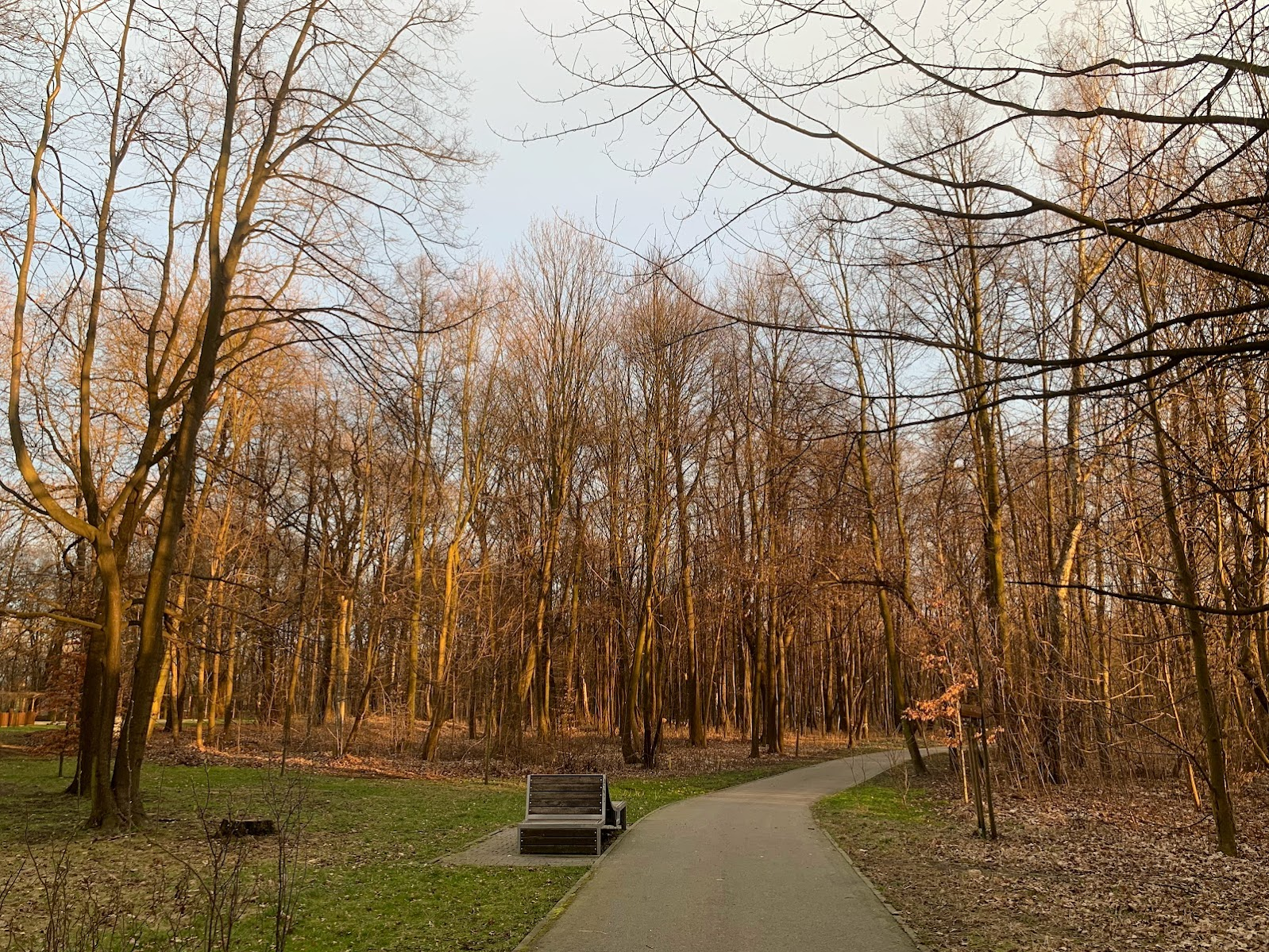 Siemianowice Śląskie, Park Pszczelnik