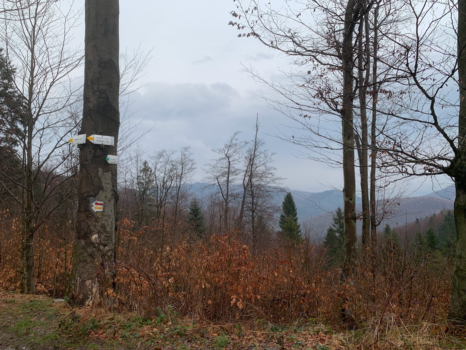 Przełęcz Isepnicka, 693m n.p.m.