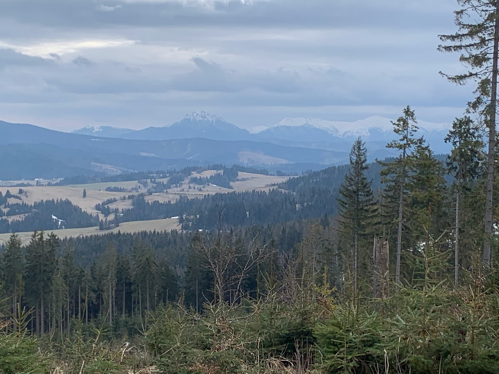 Widok na Małą Fatrę (pasmo krywańskie)